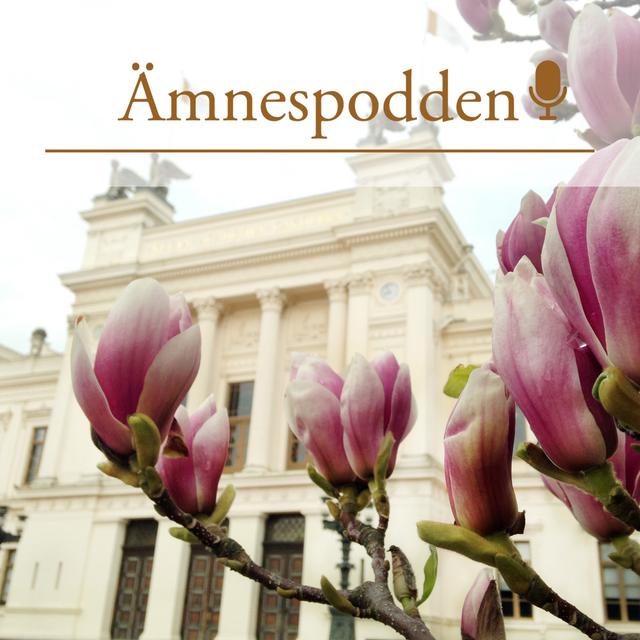 Ämnespodden: Utbytesstudier - podcast episode cover