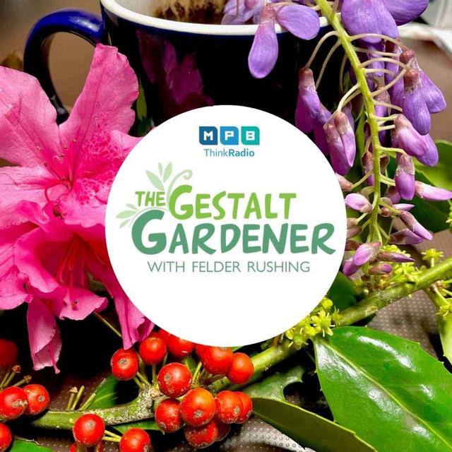 The Gestalt Gardener | Blackberry Winter - podcast episode cover