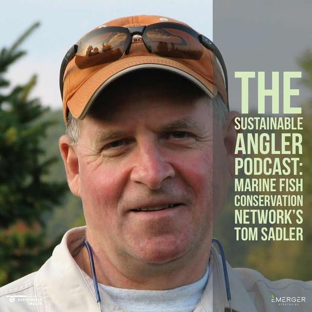 EP 19. Marine Fish Conservation Network's Tom Sadler - podcast episode cover