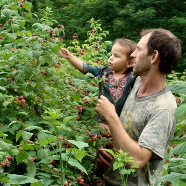 East Hill Tree Farm Please Buy Their Trees - podcast episode cover