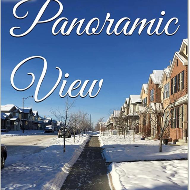 Panoramic View Volume 15 Boldly White by Daniel Lucas - podcast episode cover