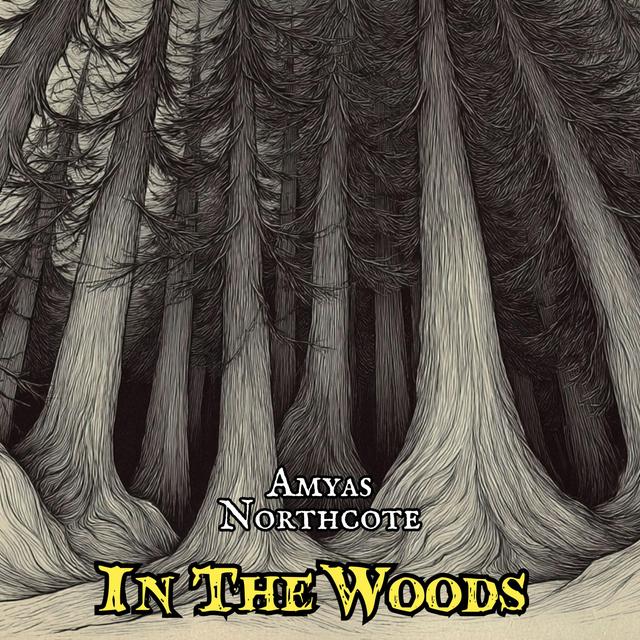 In The Woods by Amyas Northcote - podcast episode cover