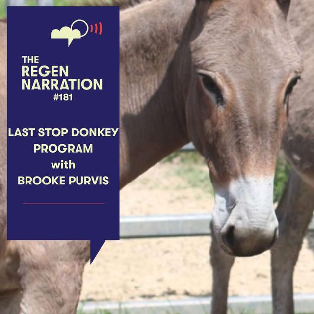 181. Revolutionising Perceptions, Repurposing Donkeys & Restoring Country: With Brooke Purvis, co-founder of the Last Stop Donkey Program - podcast episode cover