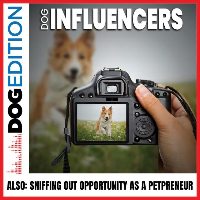 Dog Influencers | Sniffing Out Opportunity As A Petpreneur | Dog Edition #19 - podcast episode cover
