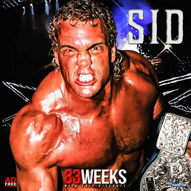 Episode 211: SID - podcast episode cover