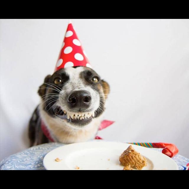 326: Go Shawty, It's Ya Birthday! - podcast episode cover
