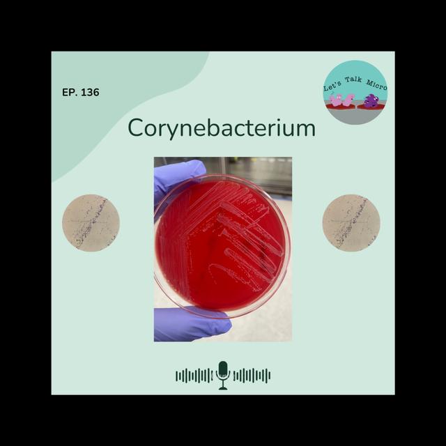 136: Corynebacterium - podcast episode cover