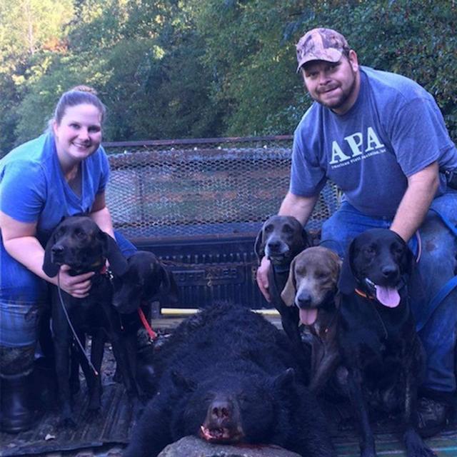 Versatile Dogs; From the Show Ring to the Woods - podcast episode cover