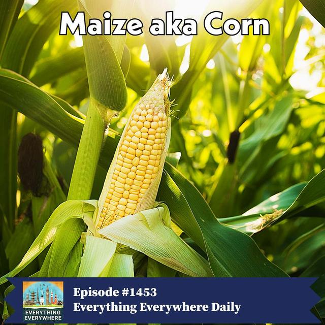 Corn aka Maize - podcast episode cover