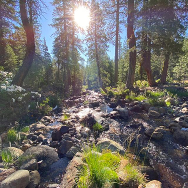 110: North Fork of the Sacramento River - podcast episode cover