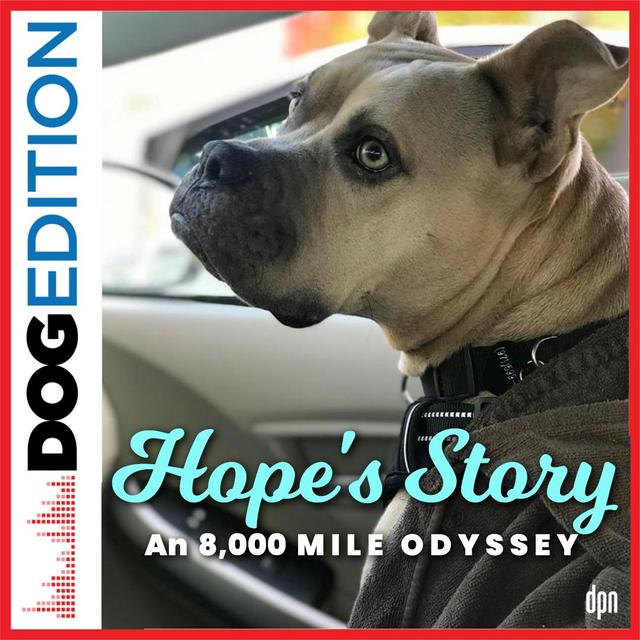 Hope’s Story: An 8,000-Mile Odyssey | Dog Edition #69 - podcast episode cover