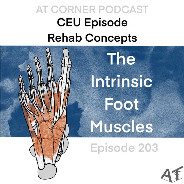 CEU: Rehab Concepts: The Intrinsic Foot Muscles - 203 - podcast episode cover