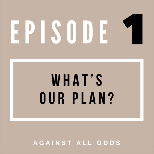 What's Our Plan? - podcast episode cover
