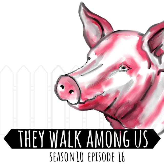 Murder In The Shadow of High Grange Farm / Margaret Dobson / Robert Hoolhouse - podcast episode cover