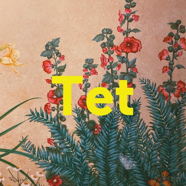 TET overall - podcast episode cover