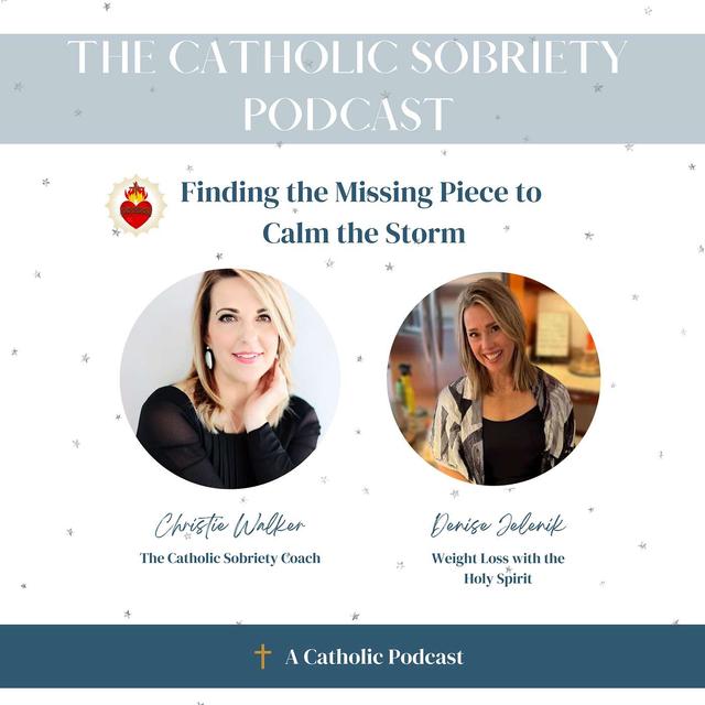 Ep 22: Finding the Missing Piece to Calm the Storm  with Denise Jelinek - podcast episode cover
