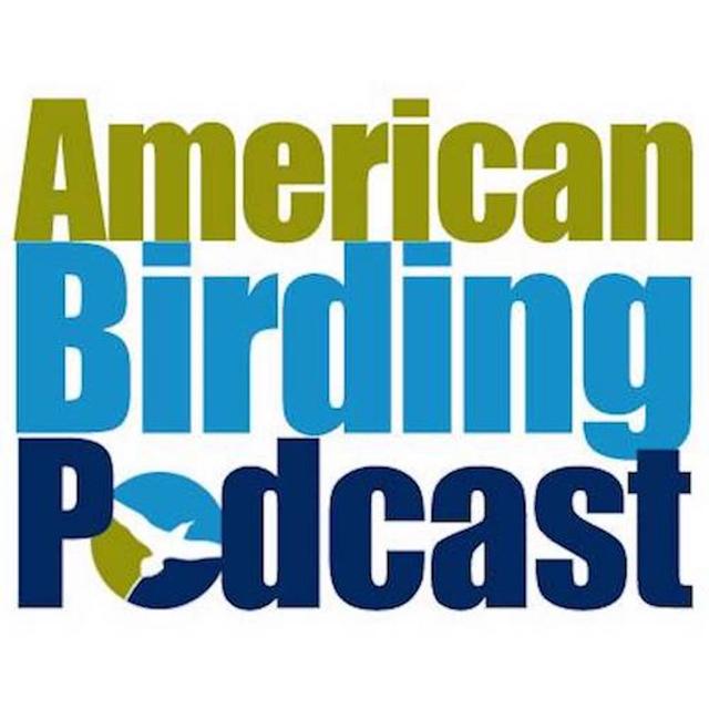 01-01: 2017 ABA Bird of the Year Artist Sophie Webb - podcast episode cover