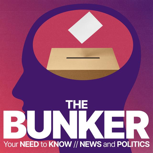 The post-logic election year – Does anybody vote rationally? - podcast episode cover