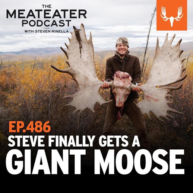 Ep. 486: Steve Finally Gets a Giant Moose - podcast episode cover