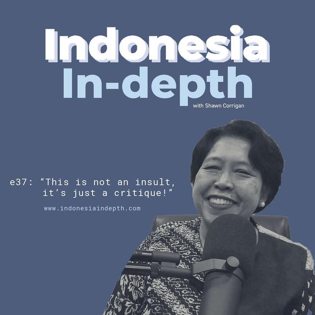 "This is not an insult, it's just a critique!" - podcast episode cover