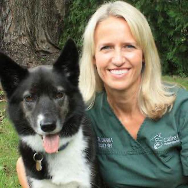 Conversations with Dr. Liana Titcombe: Insights on Pet Health and Grief Support - podcast episode cover