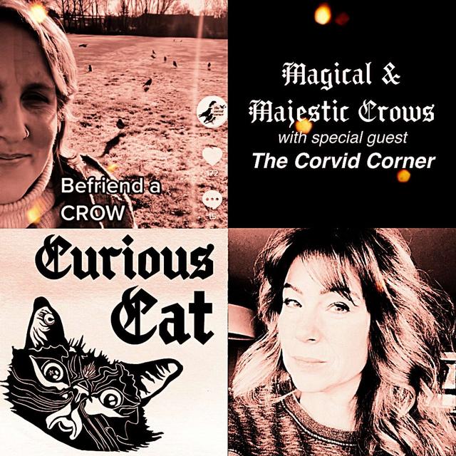 The Mystery & Majesty of Crows with Special Guest, The Corvid Corner - podcast episode cover