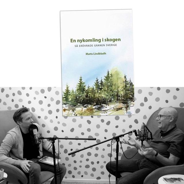 #407 Så erövrade granen Sverige, med Matts Lindbladh - podcast episode cover