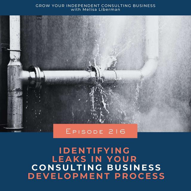 216. Identifying Leaks in Your Consulting Business Development Process - podcast episode cover