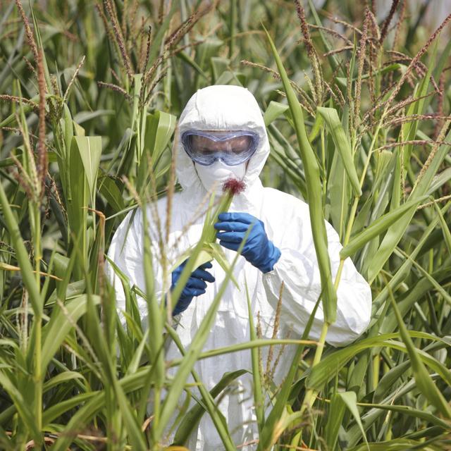 Cosmic Queries: GMOs with Bill Nye (Part 1) - podcast episode cover