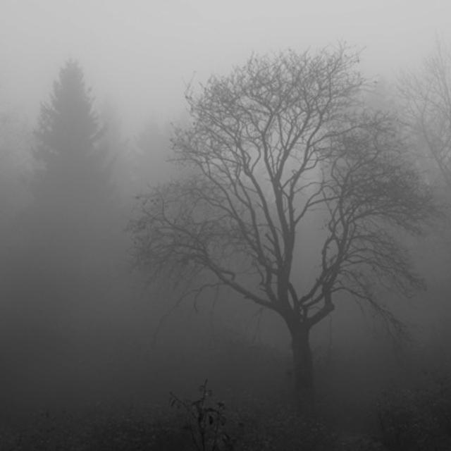 061 - How autumn depression affects Russians - podcast episode cover