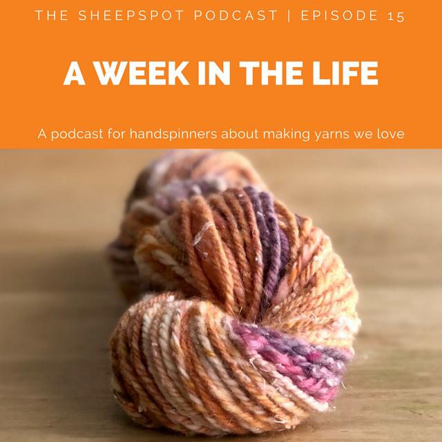 Episode 16: A Week in the Life - podcast episode cover