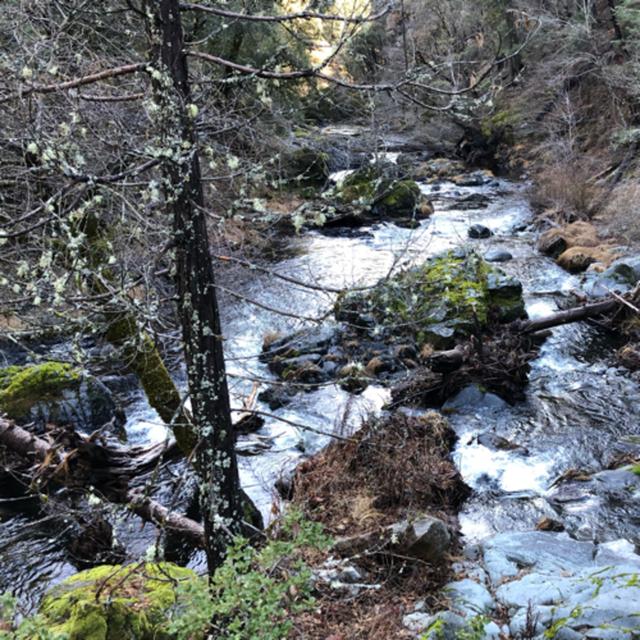 Episode 62: Squaw Valley Creek and Tom Neal Creek - podcast episode cover