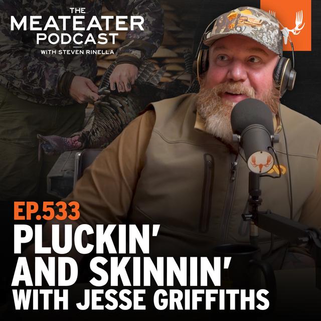 Ep. 533: Wild Turkeys: Pluckin’ and Skinnin’ with Jesse Griffiths - podcast episode cover