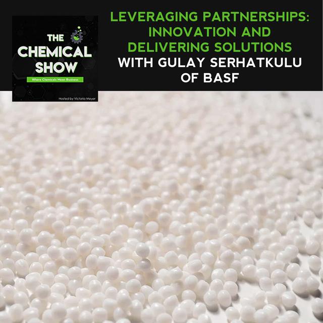 63. Leveraging Partnerships: Innovation And Delivering Solutions With Gulay Serhatkulu Of BASF - podcast episode cover