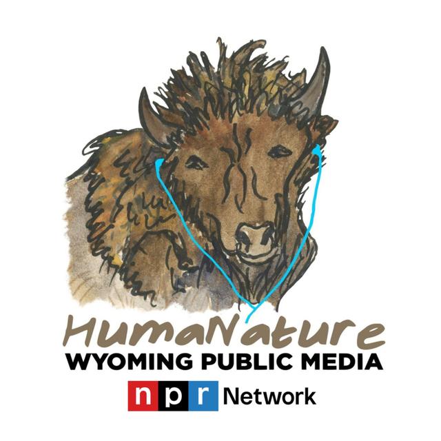 Episode 117: It’s Not You, It’s Science - podcast episode cover
