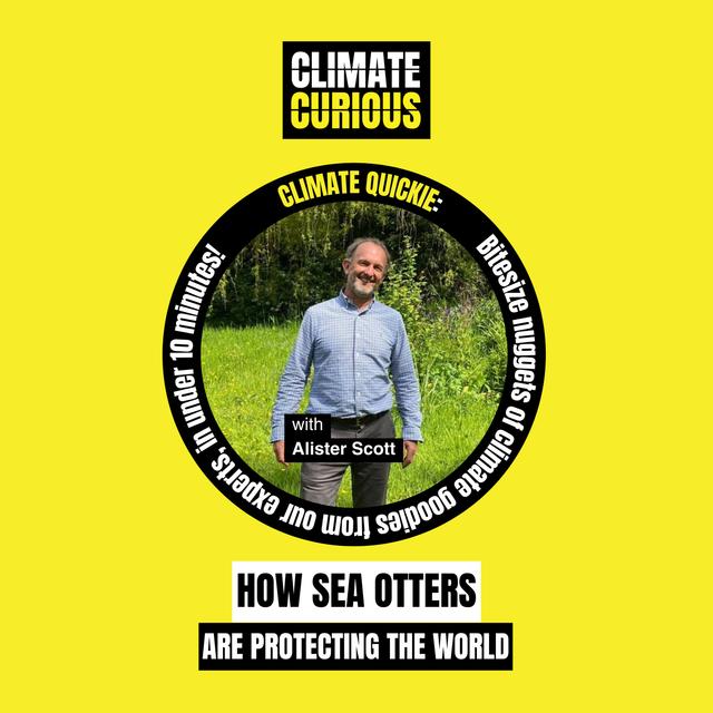 How sea otters are protecting the world - podcast episode cover