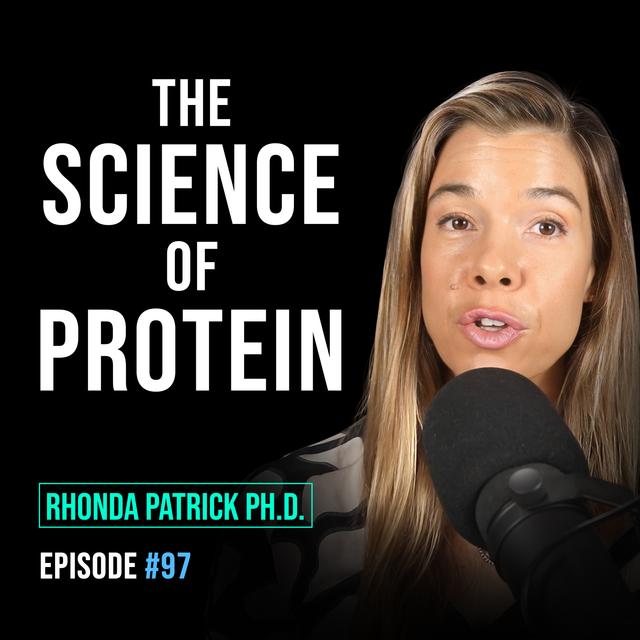 #097 The Science of Protein and Its Role in Longevity, Cancer, Aging, and Building Muscle - podcast episode cover