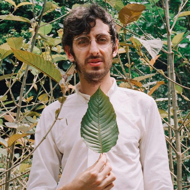 A 3 Hour Conversation with Hamilton Morris - podcast episode cover