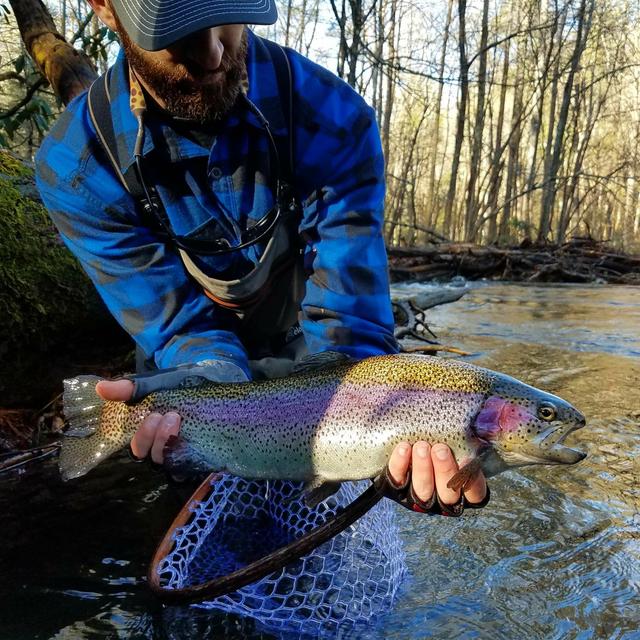 TW 168 - Fishing On The Tellico River & In Southeast TN - podcast episode cover