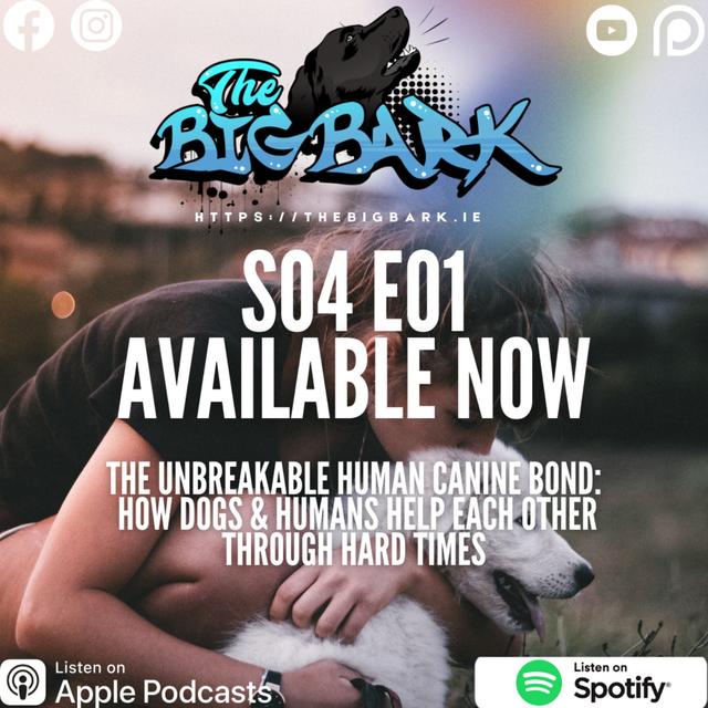 The Big Bark - S04 E01 Episode #61 - My personal Story of the unbreakable Human Canine bond - How dogs can help you through times of heartache and tragedy - podcast episode cover