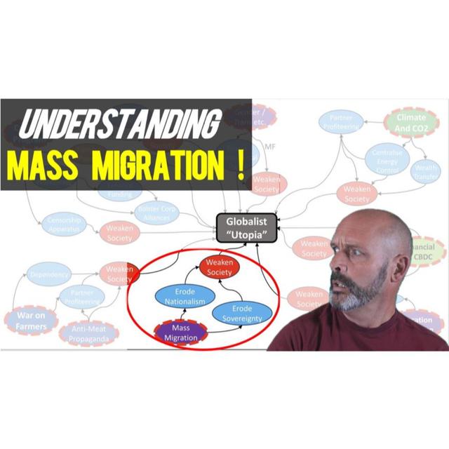 #227: Understanding Mass Migration - and WHY it is Happening - podcast episode cover