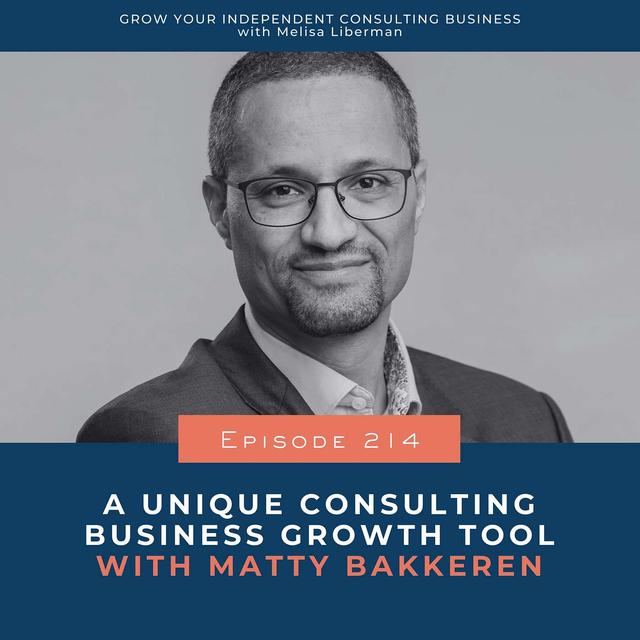 214. A Unique Consulting Business Growth Tool with Matty Bakkeren - podcast episode cover