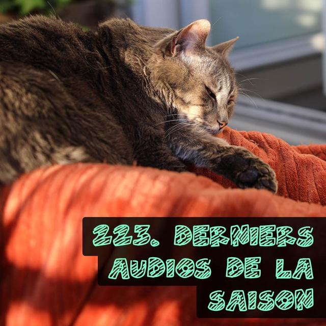 Encore plus de vous! ☎️ - podcast episode cover