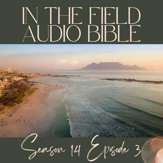 Finding Freedom: Paul's Plea to the Galatian Church - podcast episode cover