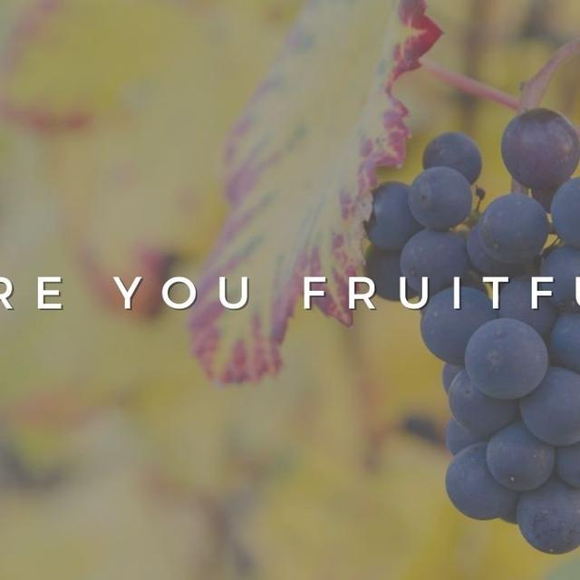 Are You Fruitful? - podcast episode cover