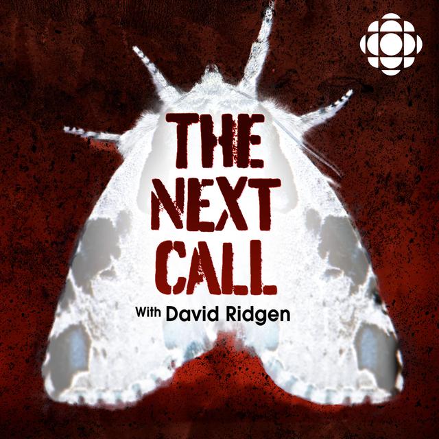 The Next Call with David Ridgen: Episode 3 in the case of Terrie Dauphinais - podcast episode cover