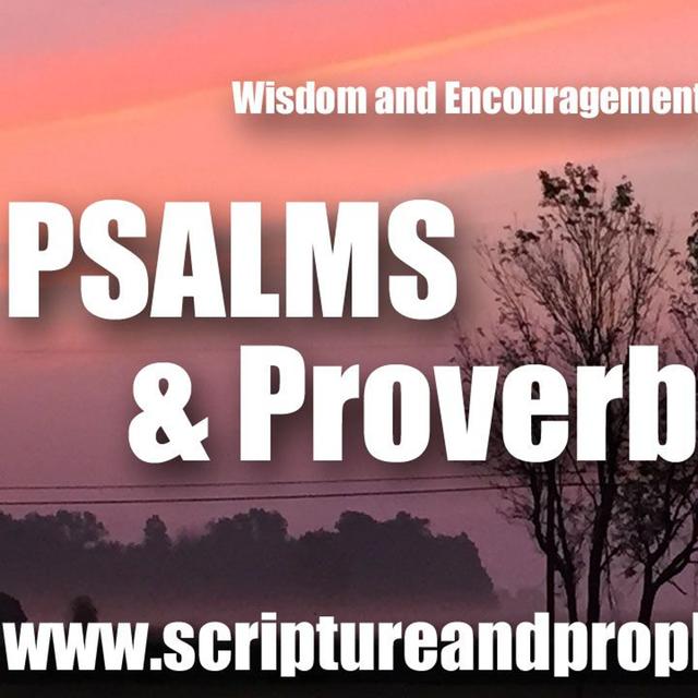 Psalm 37 & Ecclesiastes 4 : Those That Wait Upon The LORD, Shall Inherit The Earth - podcast episode cover