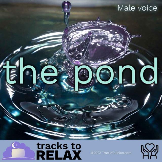 The Pond - Bedtime Sleep Meditation - podcast episode cover