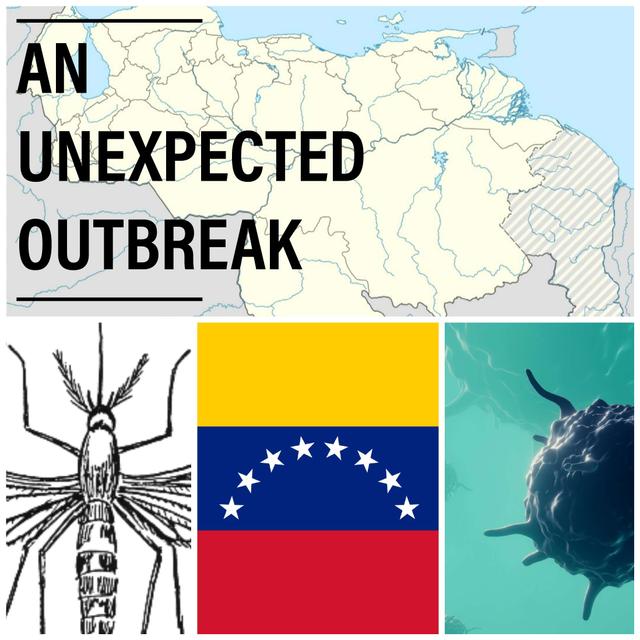 015 - Venezuela: The Intersection of Economics and Health! - podcast episode cover