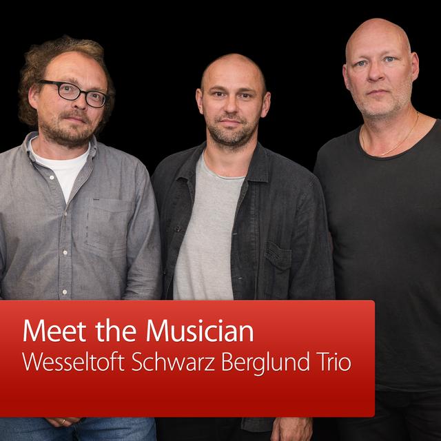 Wesseltoft Schwarz Berglund Trio: Meet the Musician - podcast episode cover